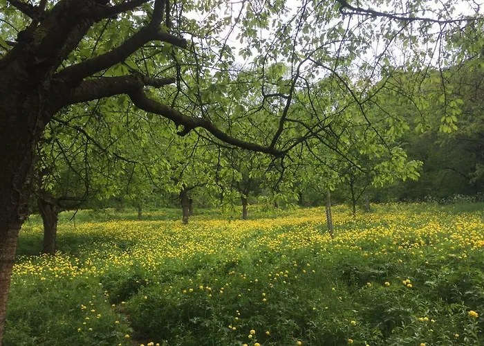 Apartament Feriendomizil Taupadel