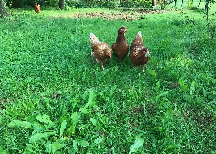 Apartament Feriendomizil Taupadel *